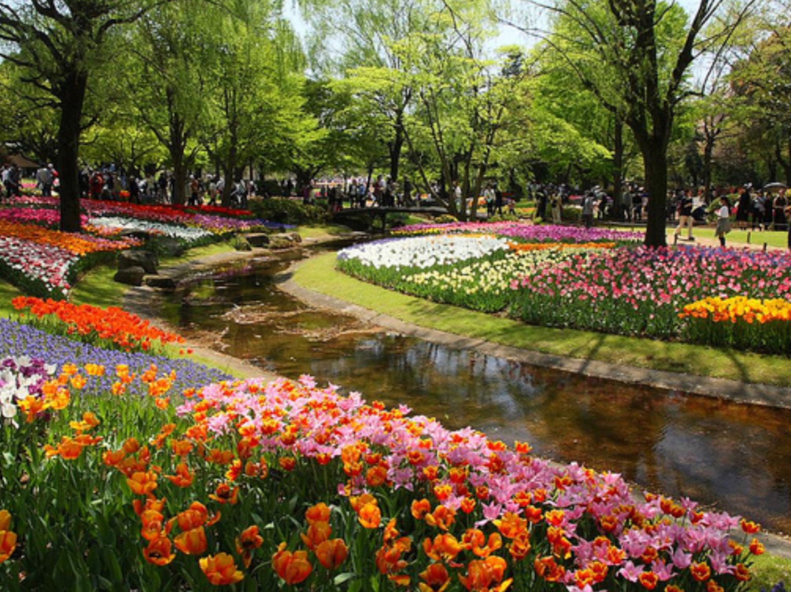 Lorne Street concept plan Your vision for the Fawkner Merri Parklands