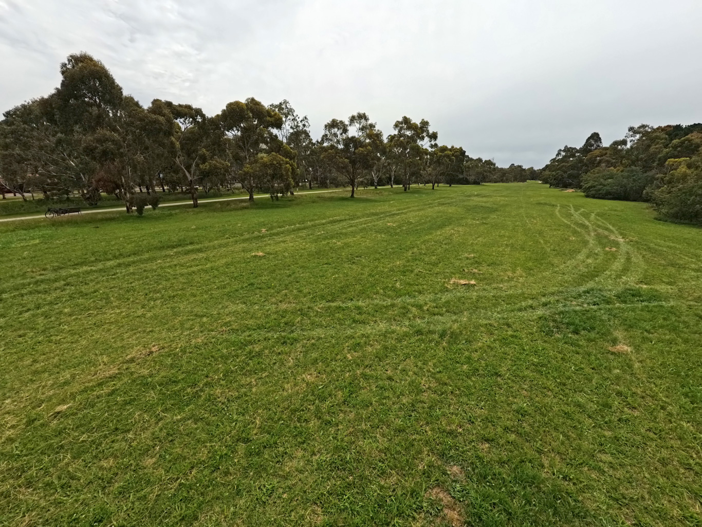 Current view: A  large grassy area, freshly mown. In the distance are trees.