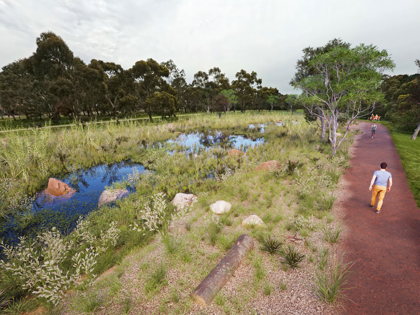 Wetlands view: An artists' impression of a wetland on the same area as the current view picture. There is water that has plants growing in and around, with rocks at the edges. There is a path that goes around the wetland area. There are more trees around.