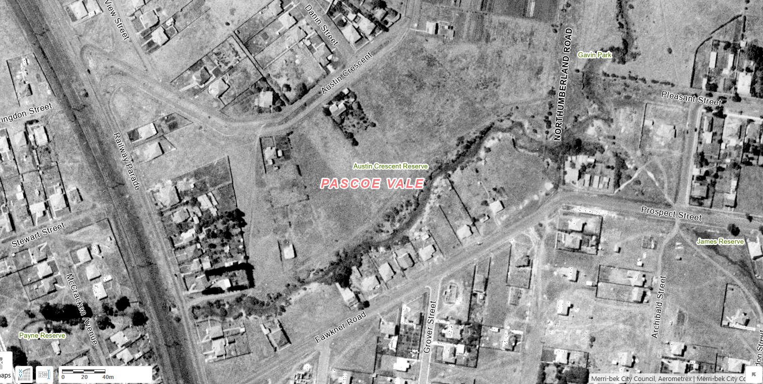 1951: An aerial image of Austin Crescent reserve from the year 1951. It is black and white and there is a creek running through the reserve