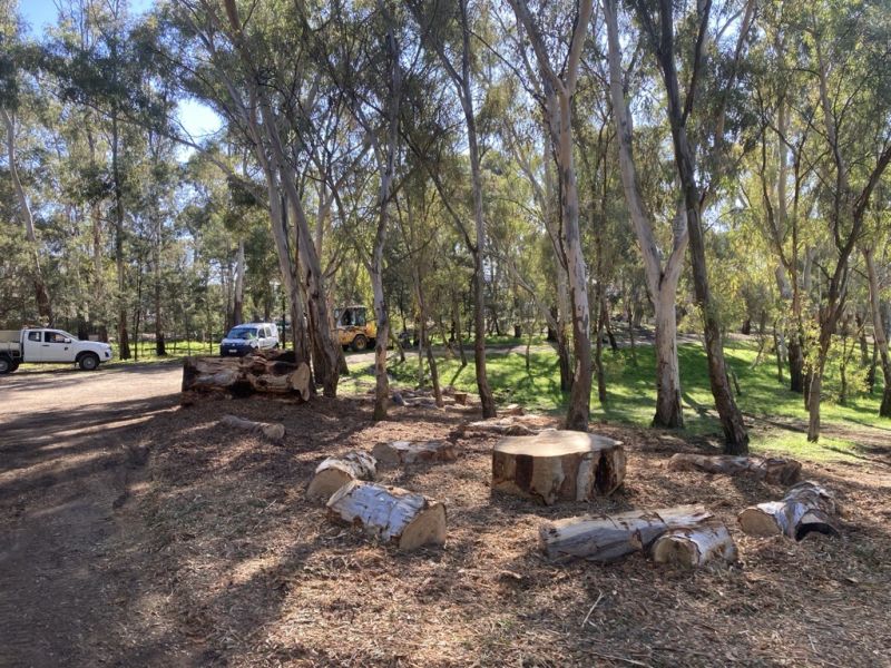 Tate Reserve Nature Play Area